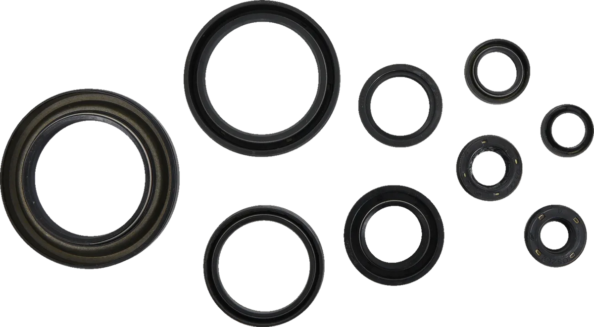 Oil Seal Kit