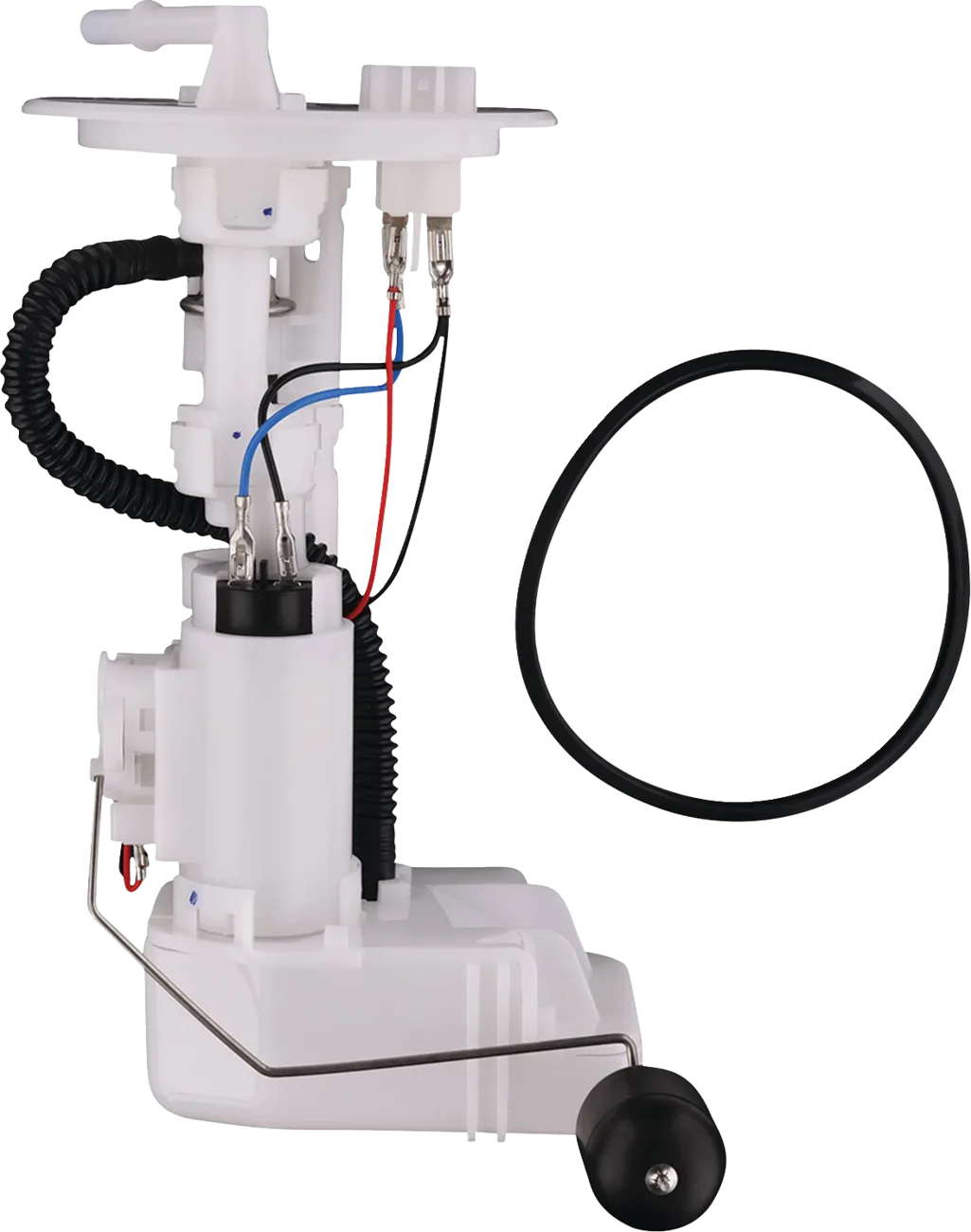 Fuel Pump Module