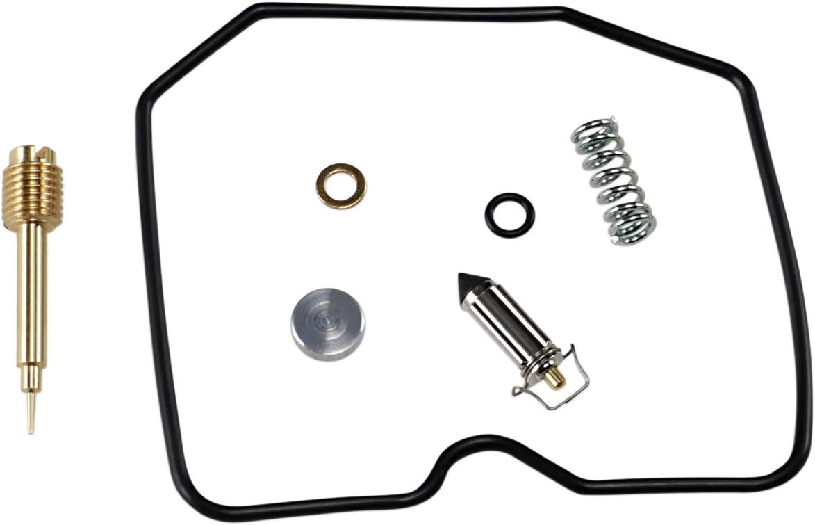 Carburetor Repair Kit