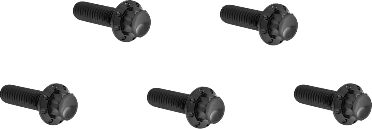 Derby Cover 12-Point Titanium Bolt Kit