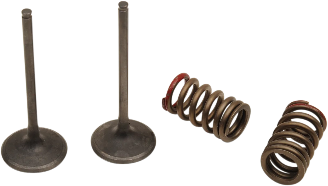 Valve and Spring Kit