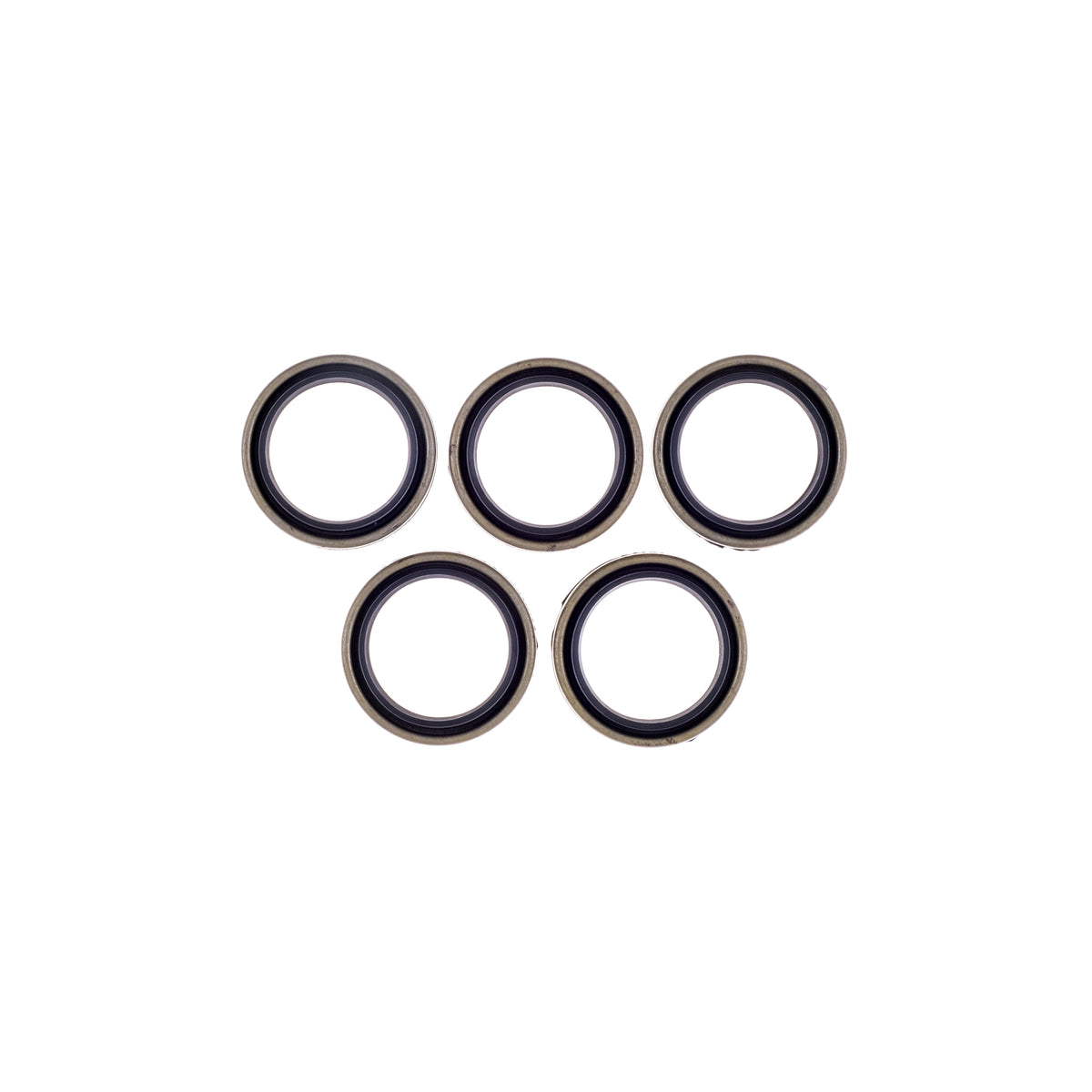 Evo Sportster Seal