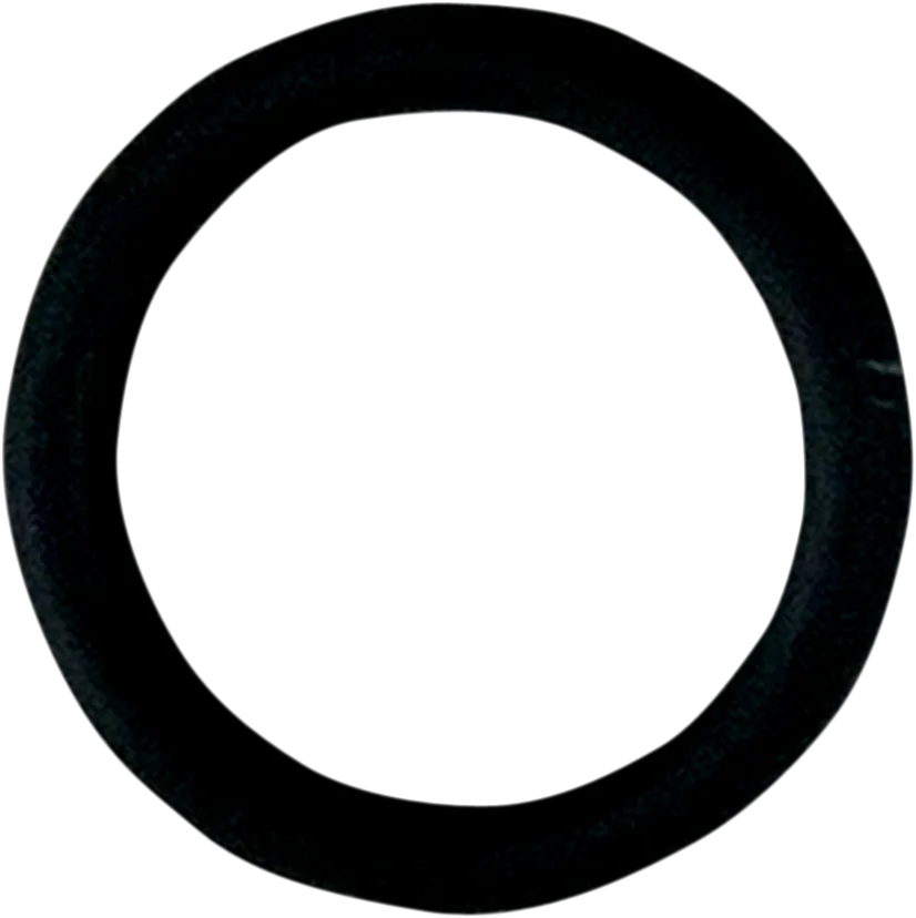 Replacement O-Ring for Fuel Check Valve