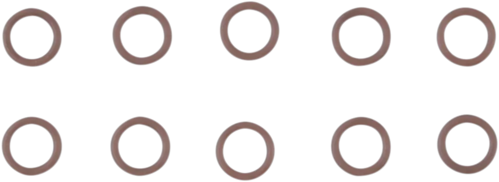 Cam Support Plate Plug O-Ring