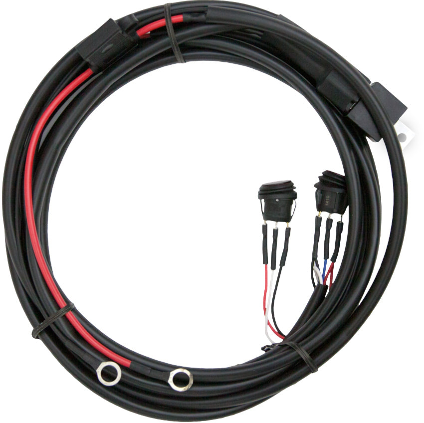 Radiance Wire Harness