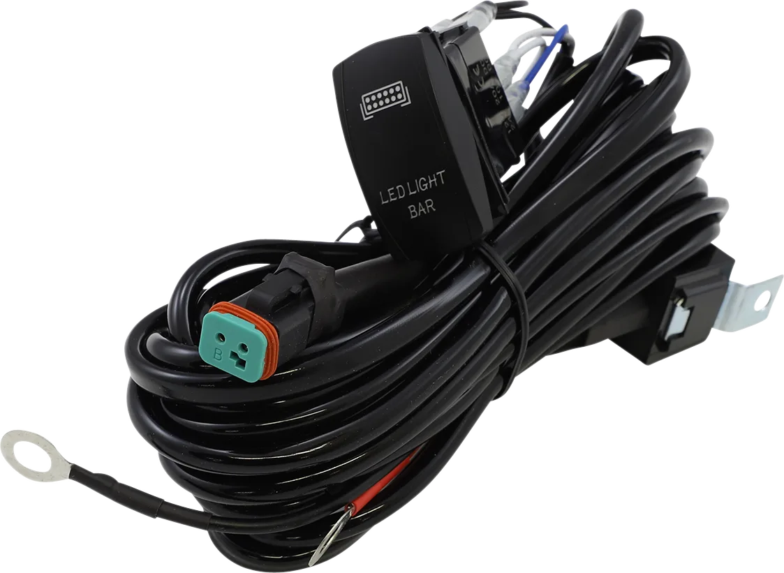 Wiring Harness with Switch