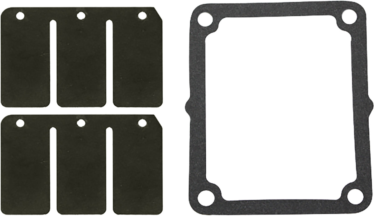 Reed Valve Rebuild Kit