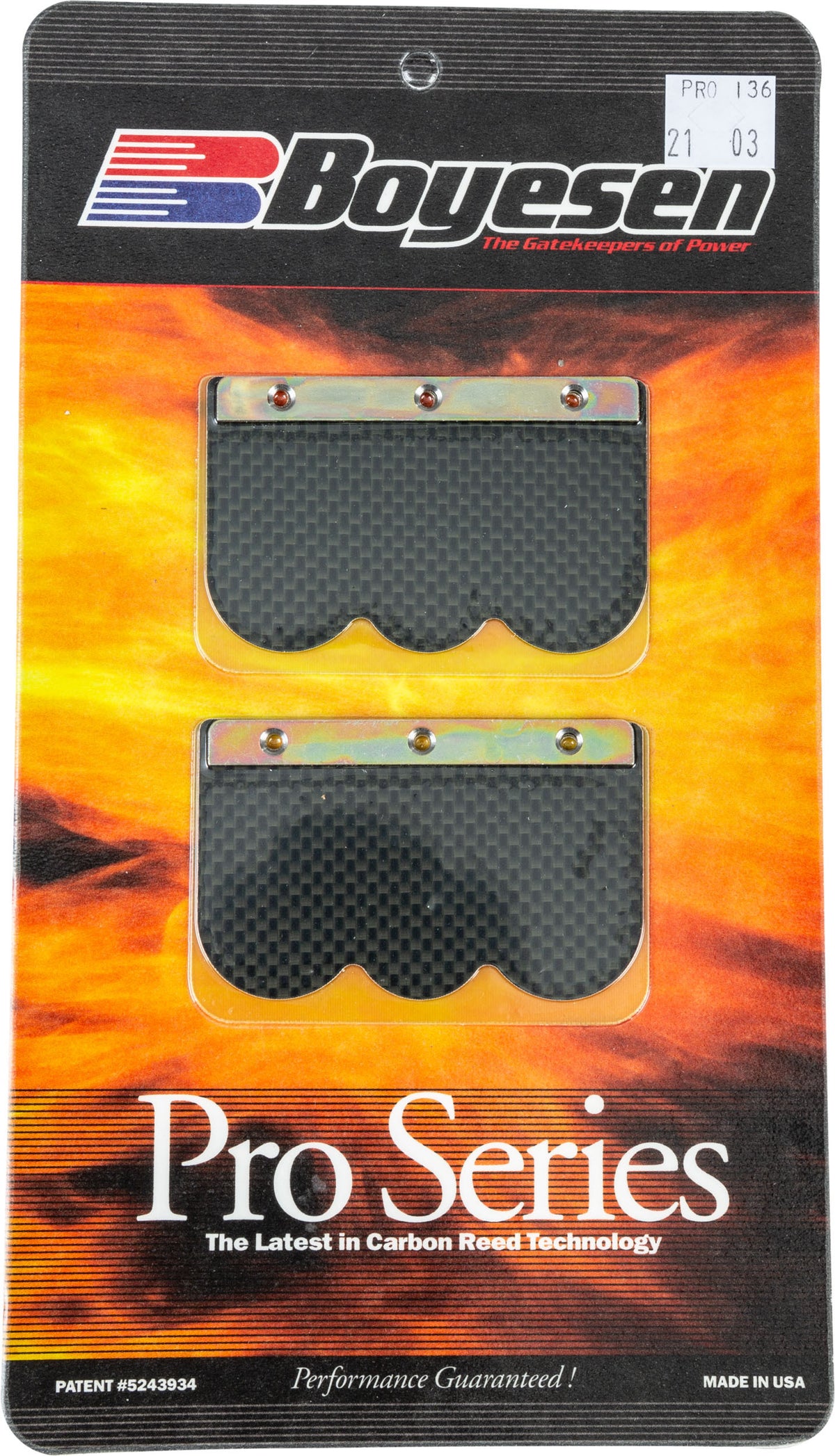 Boyesen Rage Cages