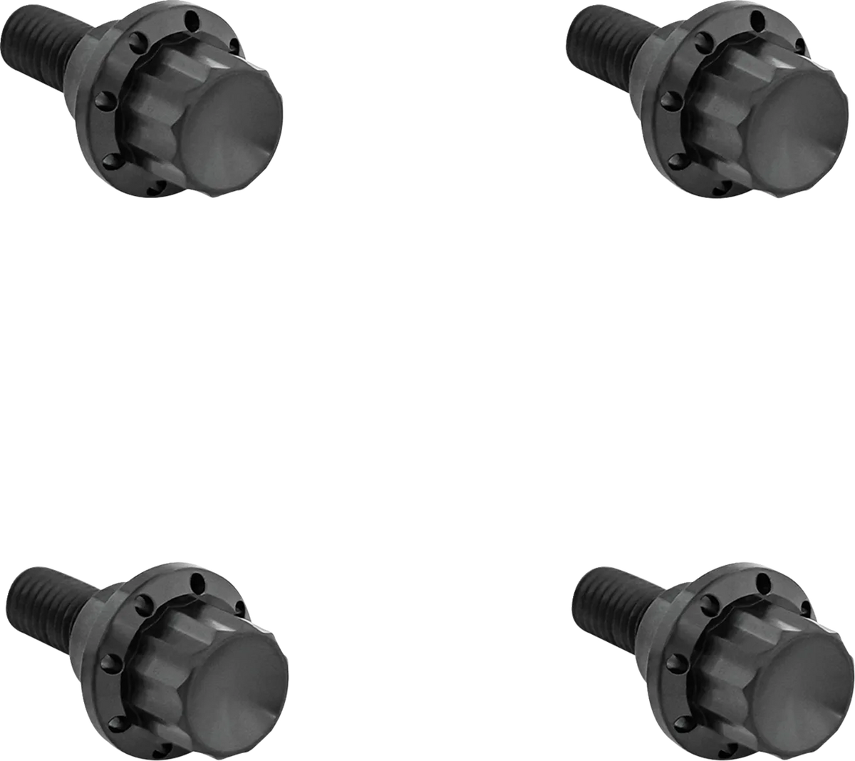 Windshield Titanium 12-Point Bolt Kit