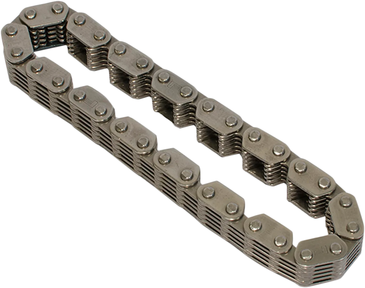 Cam Chain