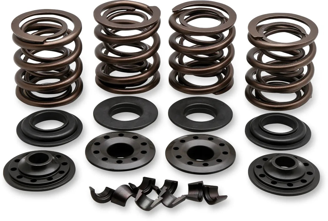 OEM Replacement Valve Spring Kit