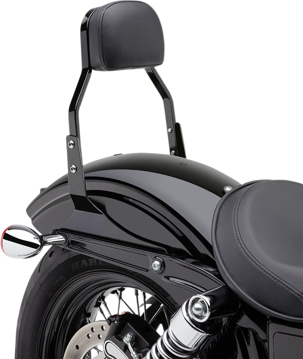 Square Sissy Bar