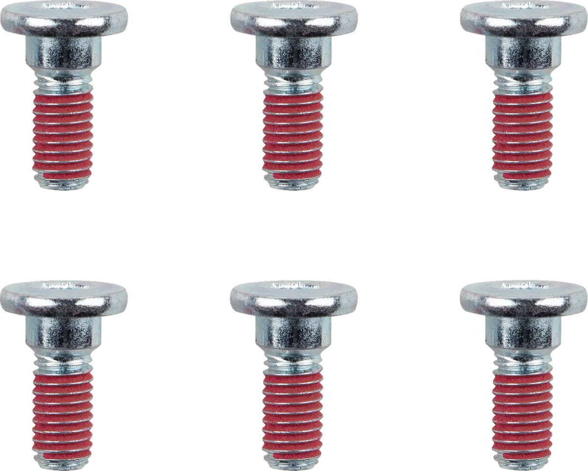Brake Rotor Bolts