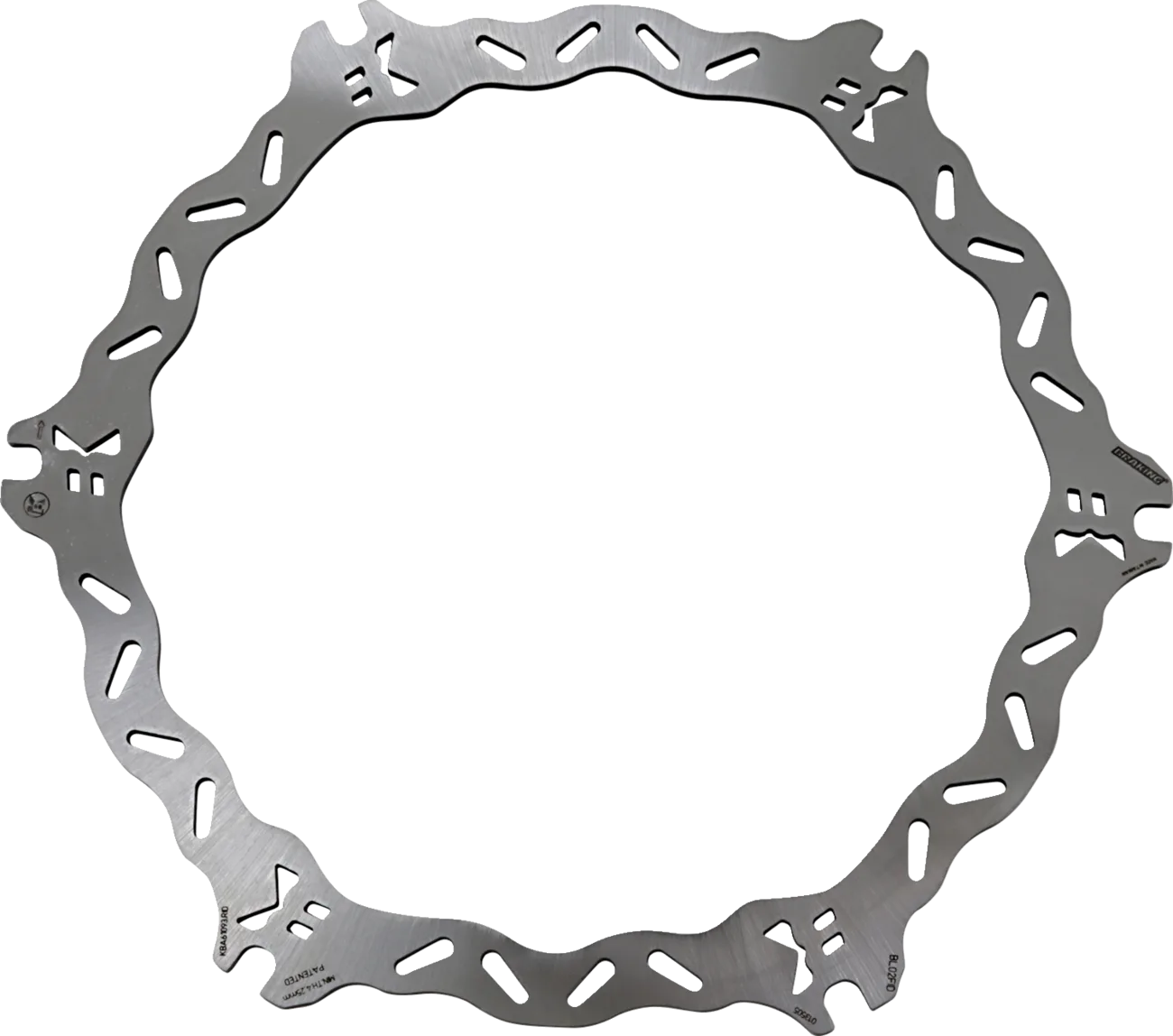 Front and Rear Brake Rotor