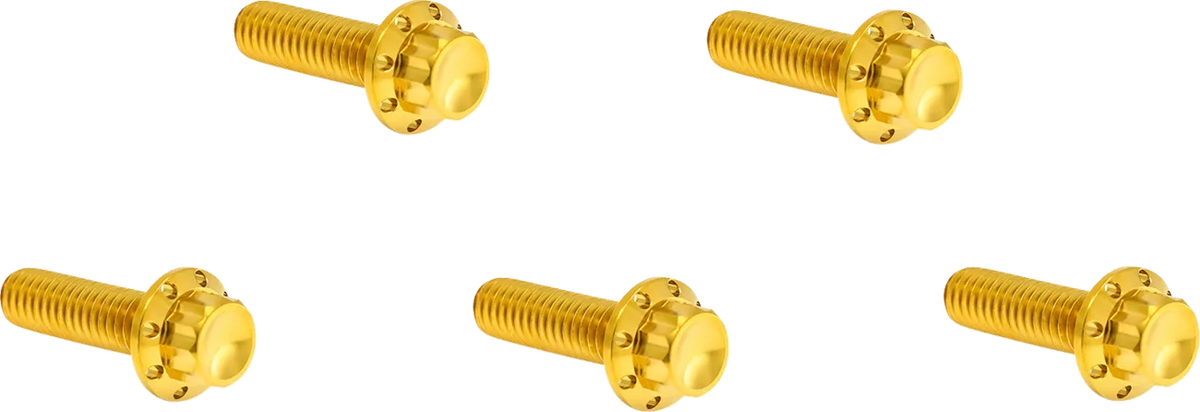Derby Cover Titanium 12-Point Bolt Kit