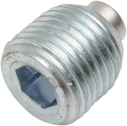 Magnetic Drain Plug
