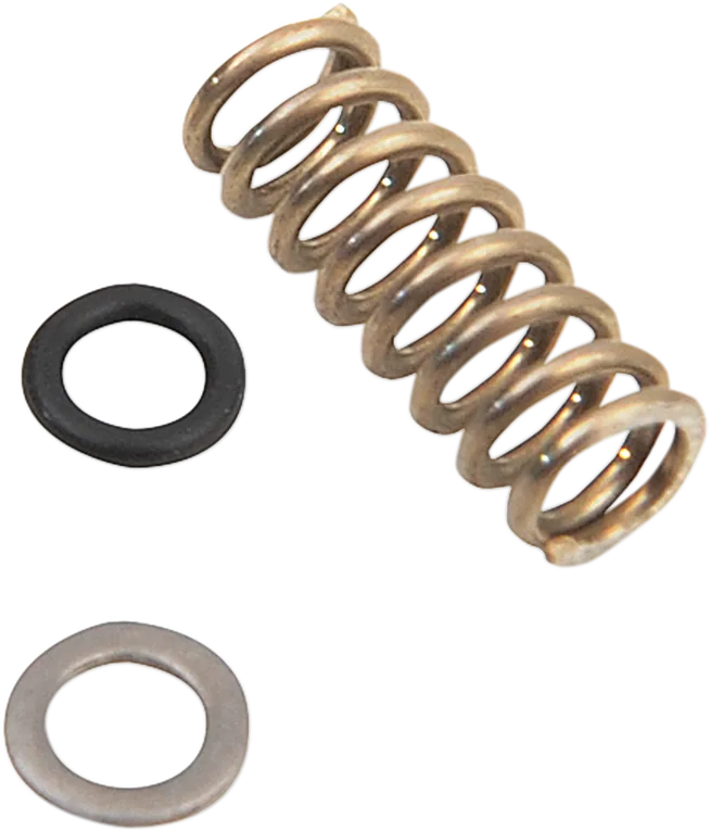 Air Mixture Screw Kit