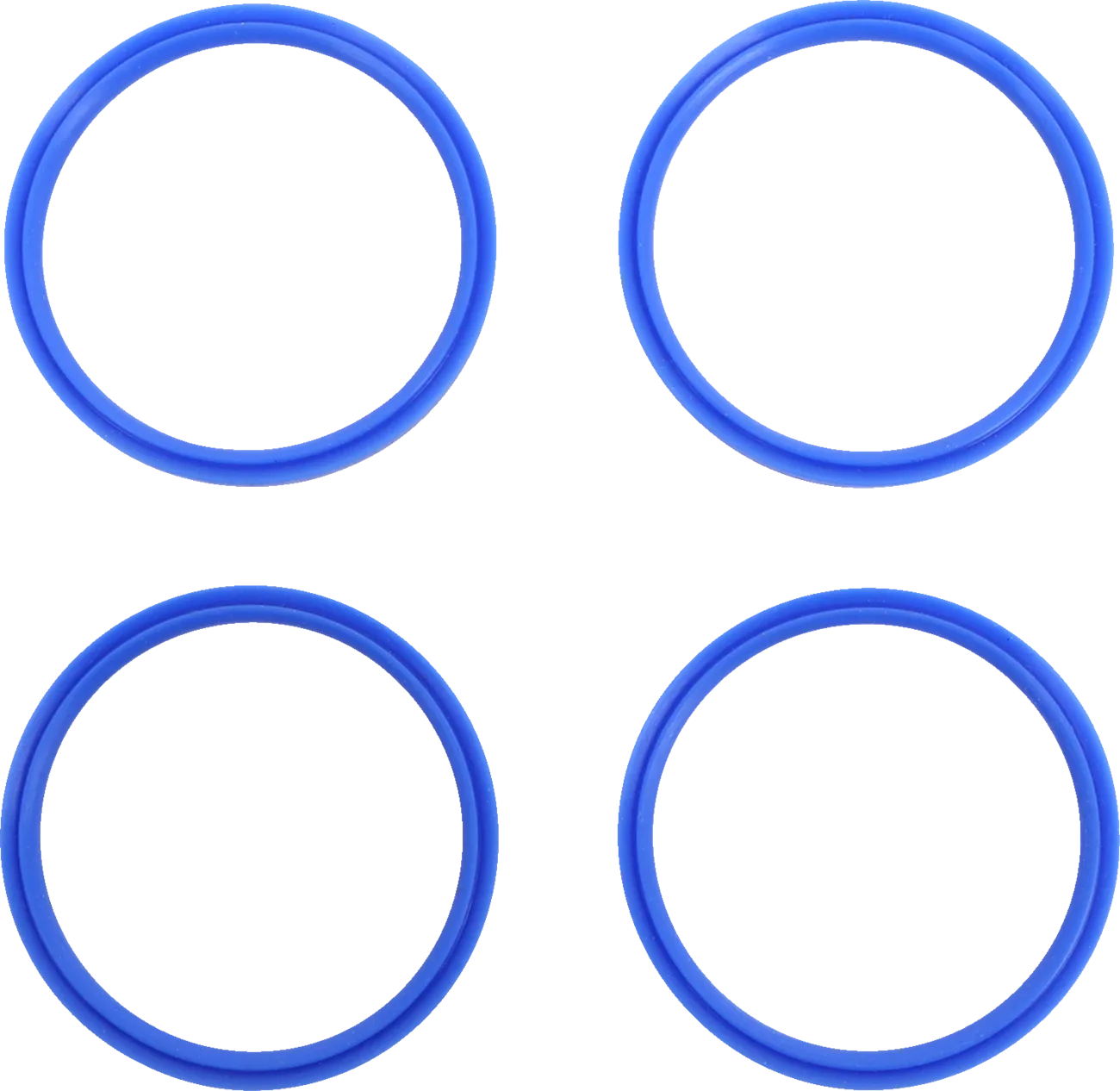 Fuel Cap Seal