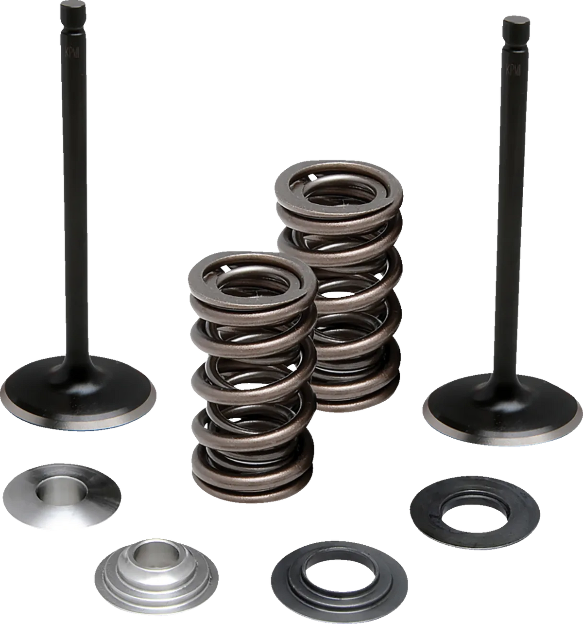 Valve and Spring Kit