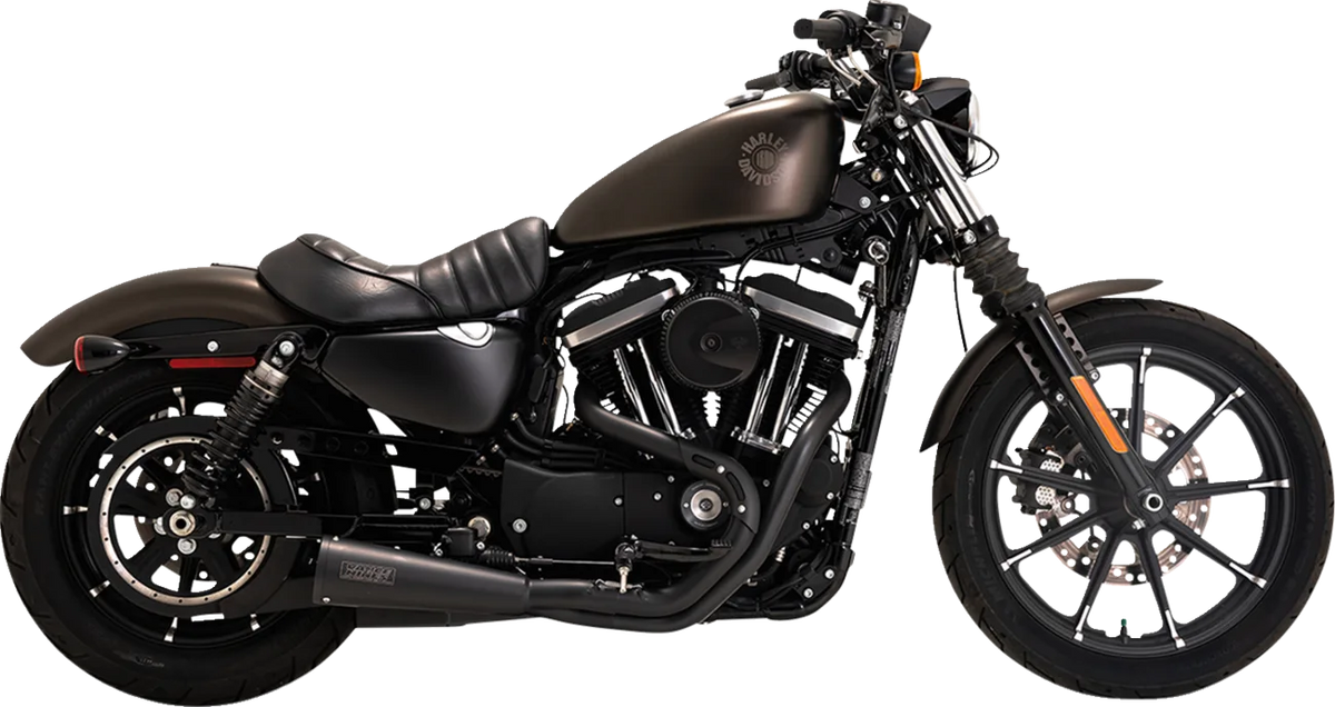 Upsweep 2-into-1 Exhaust System