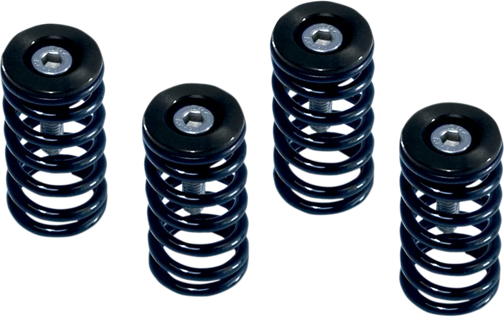 Clutch Spring Kit