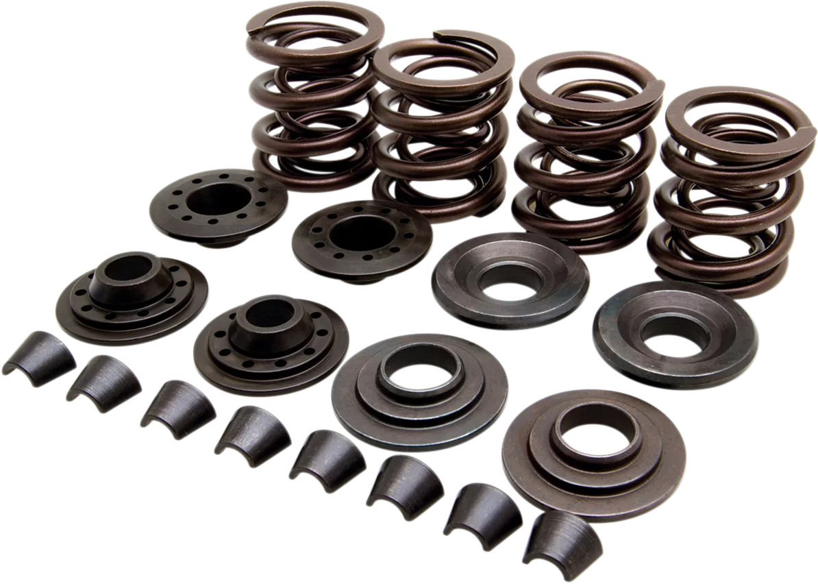 OEM Replacement Valve Spring Kit