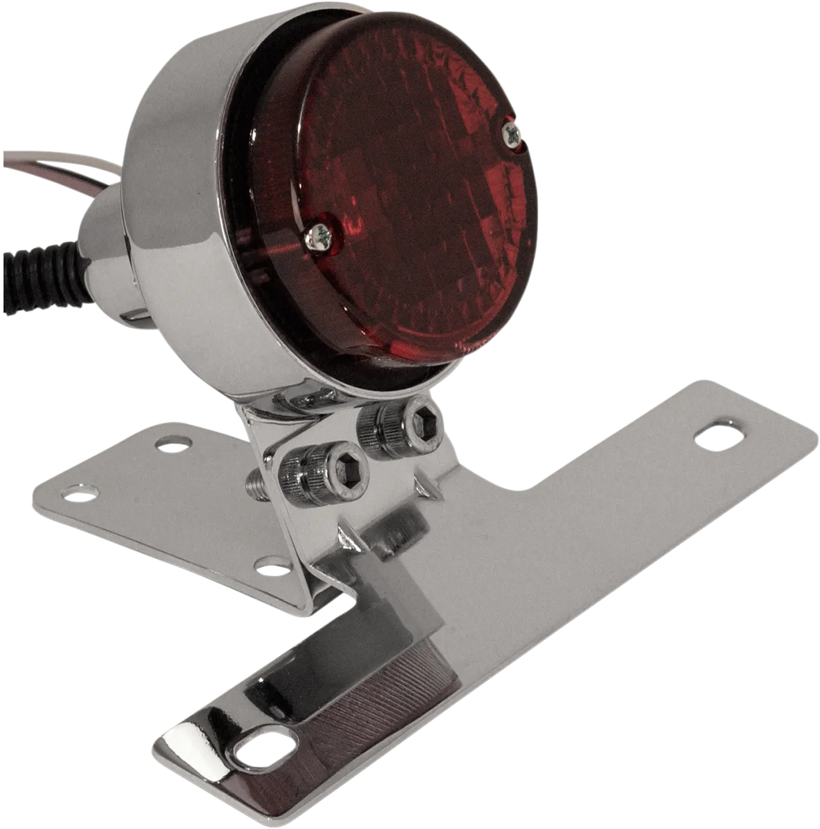 Taillight with License Plate Mount