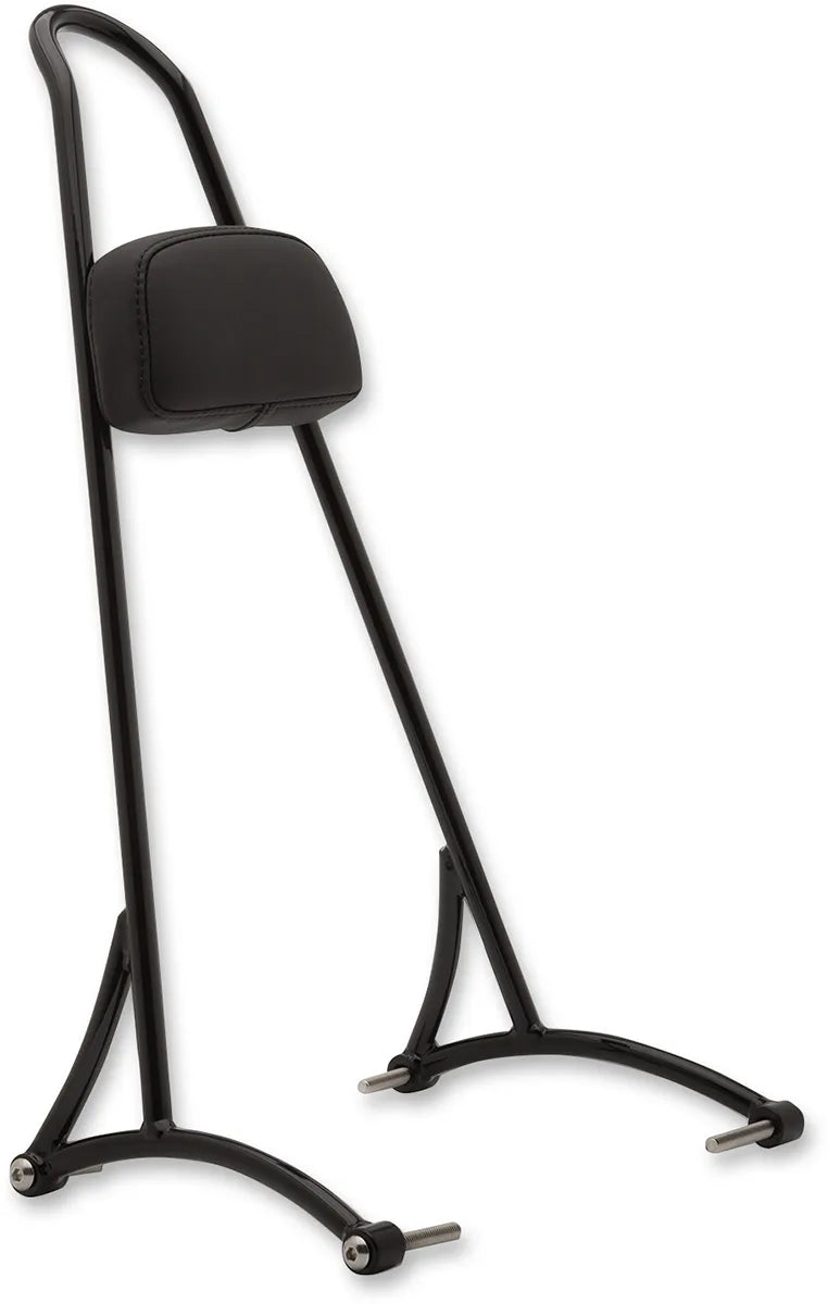 20" Tall Sissy Bar