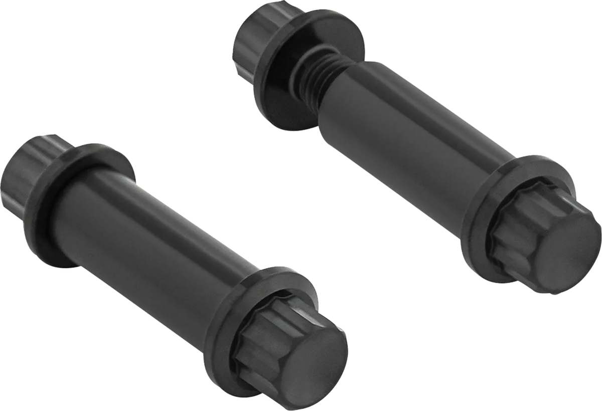 Foot Peg Titanium 12-Point Bolt Kit