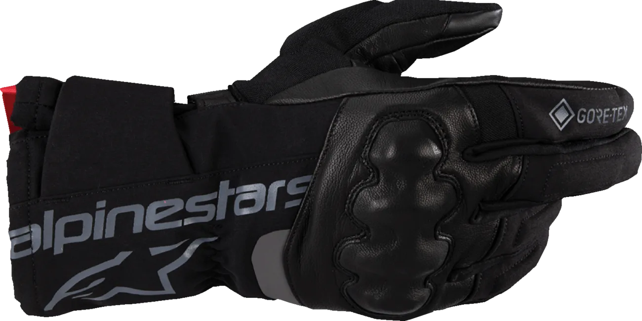 WT-4 Gore-Tex® Insulated Gloves