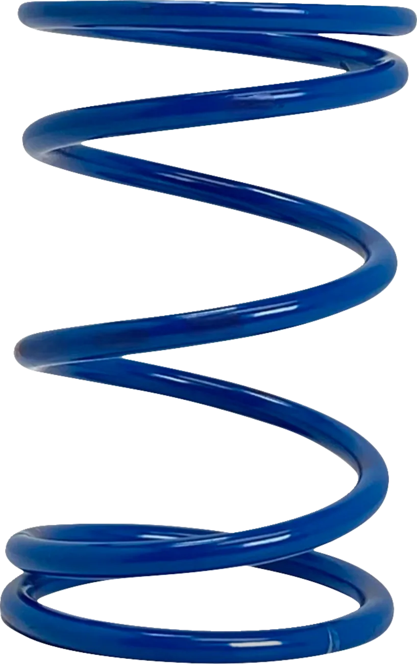 Polaris Primary Clutch Spring