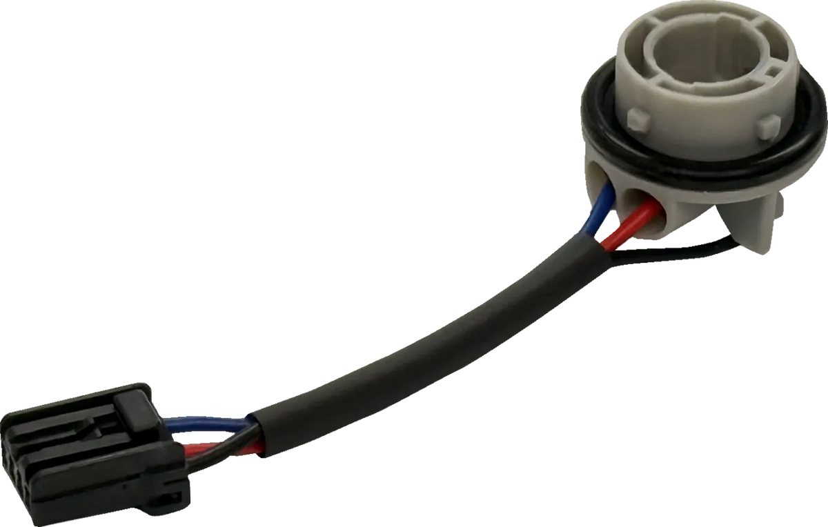 Taillight Socket