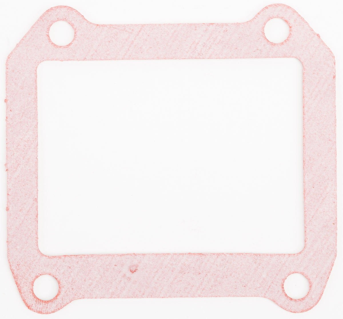 Rad Valve Gasket