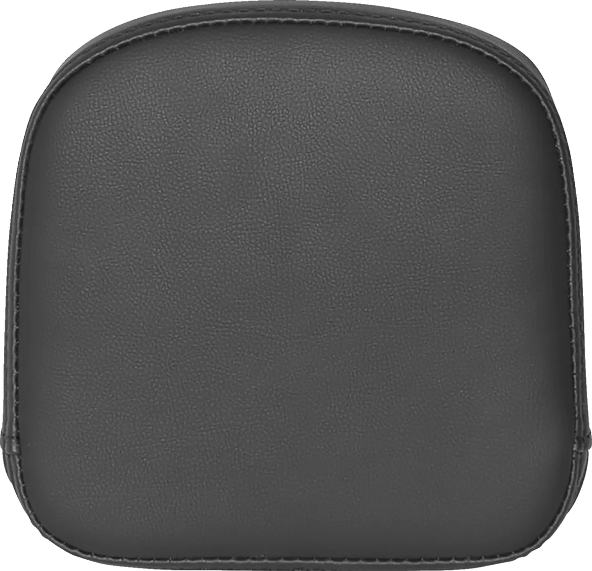 Sissy Bar Pad for RoadSofa™