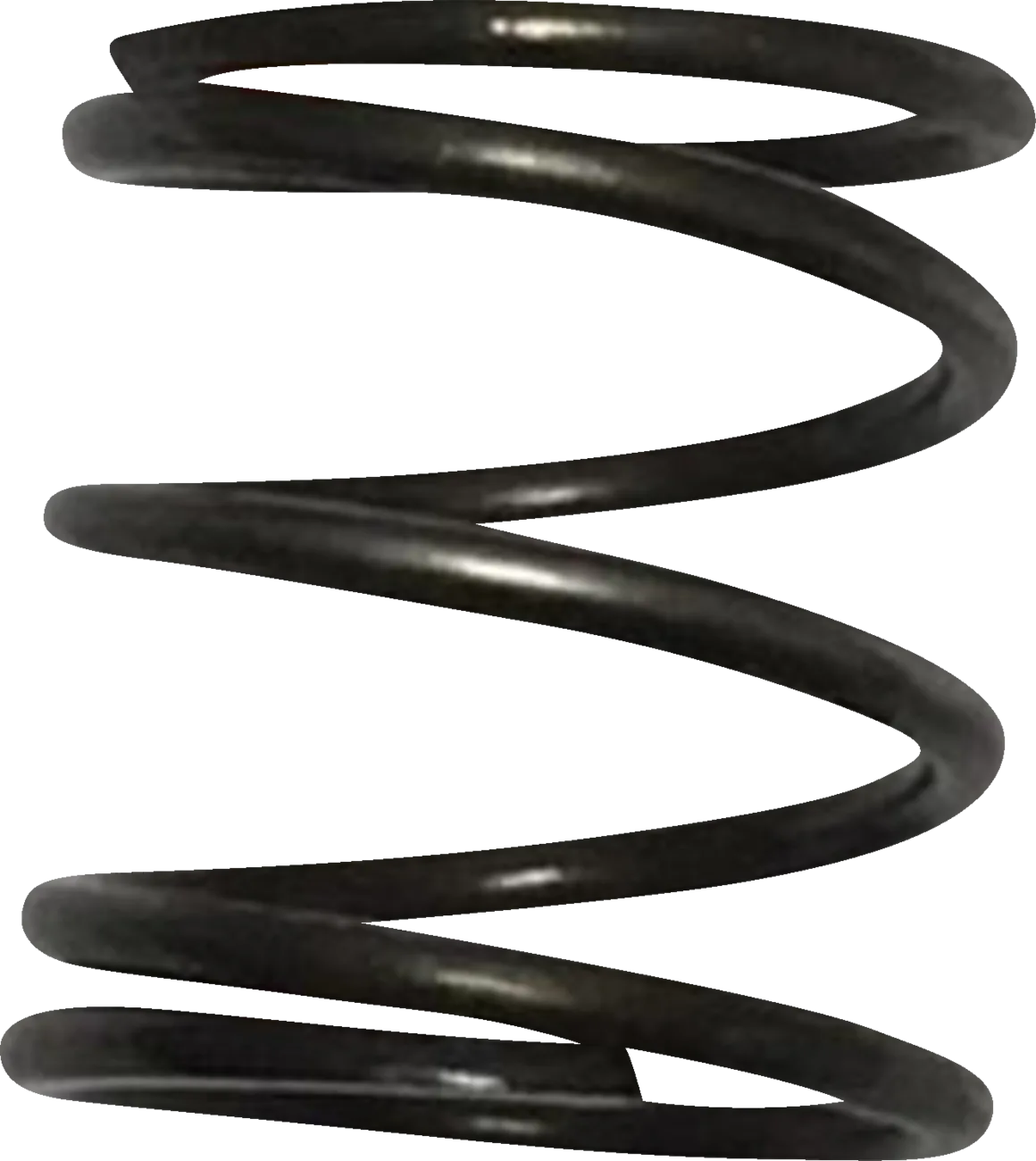 Pushrod Cover Spring