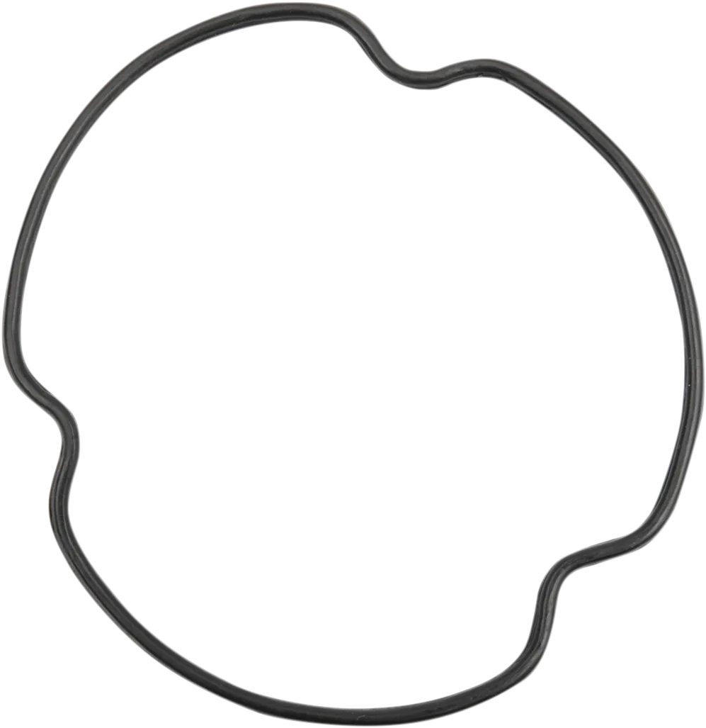 Oil Filter Cover O-Ring