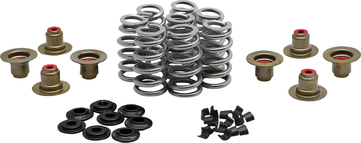 Beehive Valve™ Spring Kit