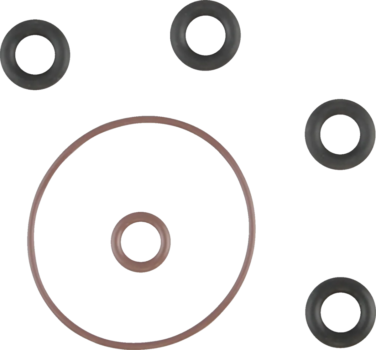 Induction Module O-Ring