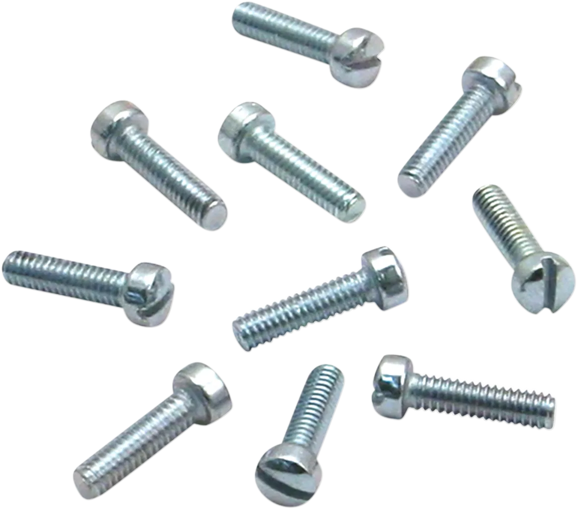 Slotted Screws