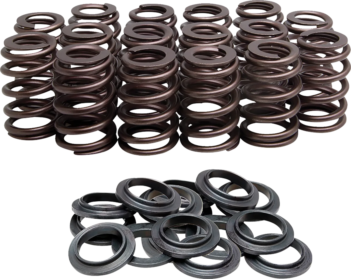 Beehive Valve Springs Only Kit
