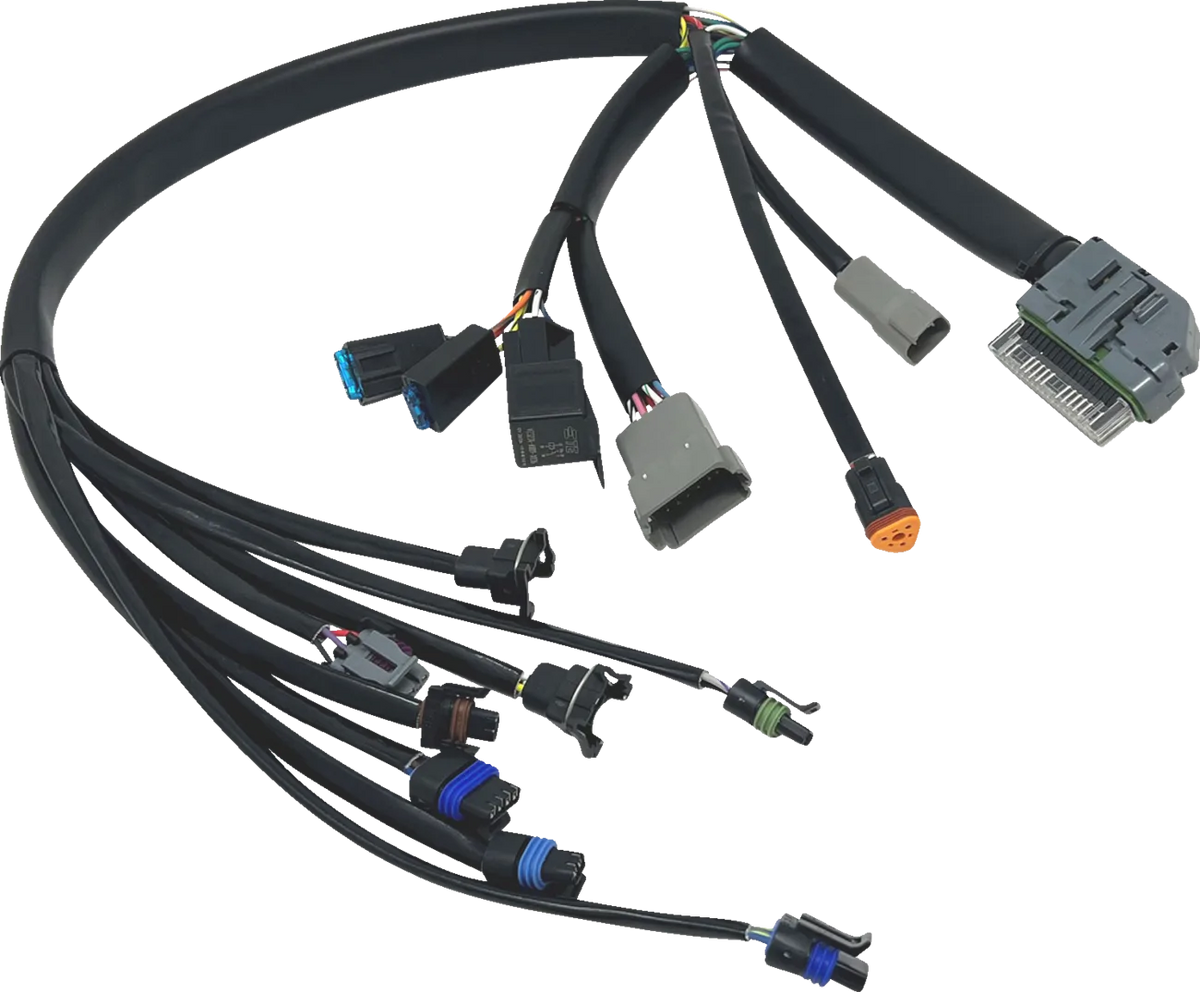 EFI Harness