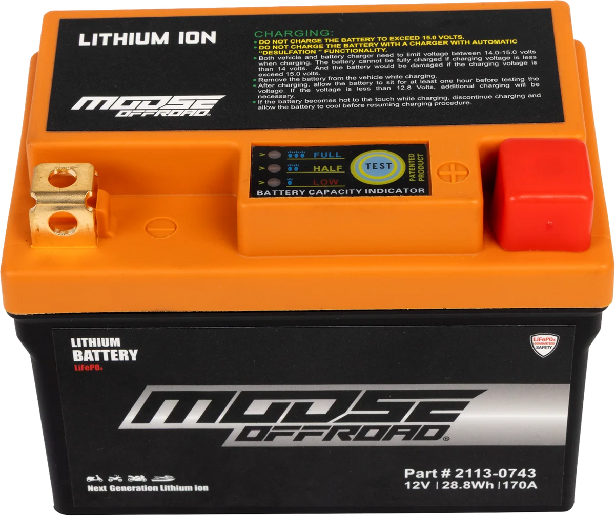 Lithium LiFePO4 Battery