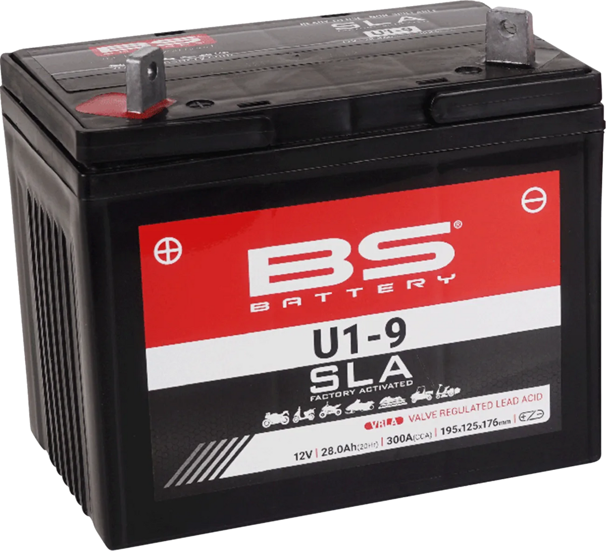 SLA Factory- Activated AGM Maintenance-Free Battery
