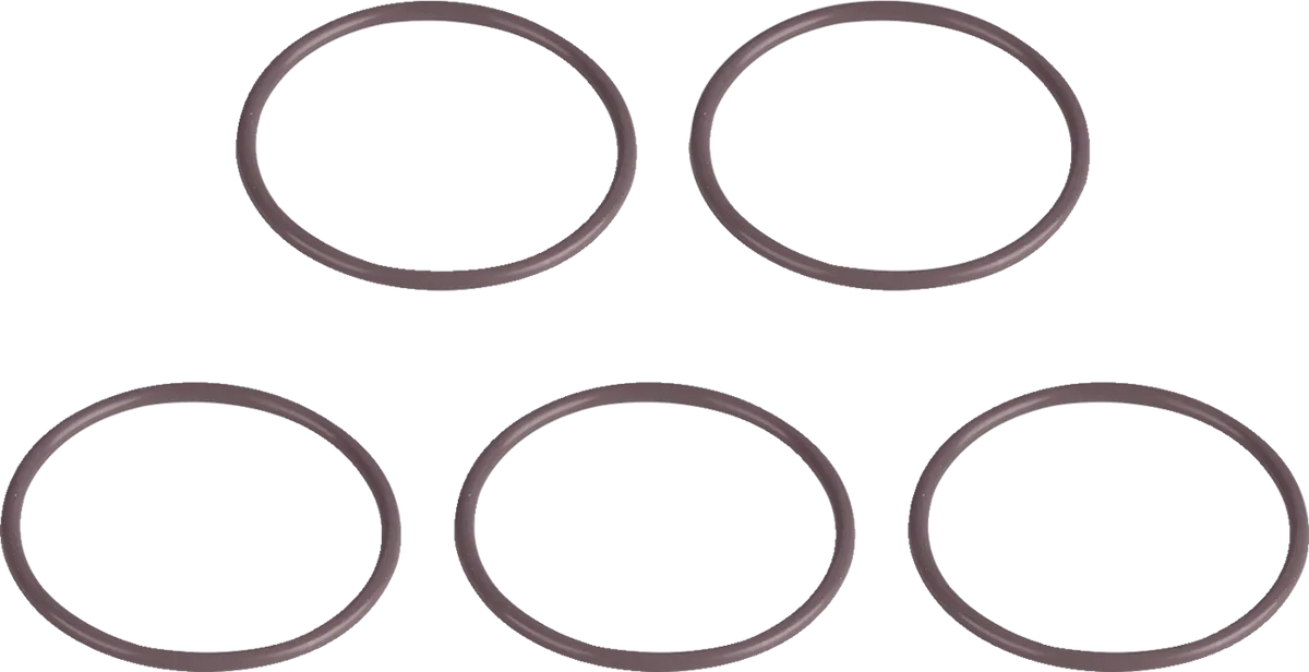 Starter O-Ring