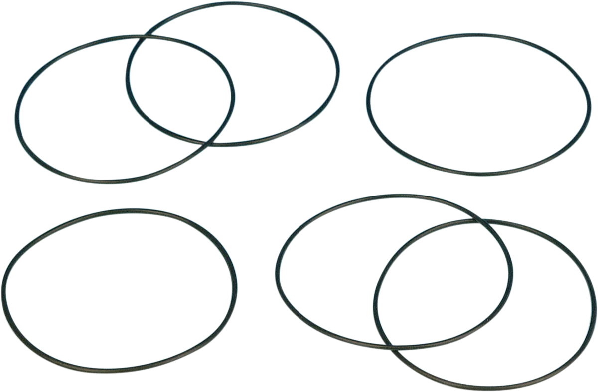 Turn Signal O-Ring