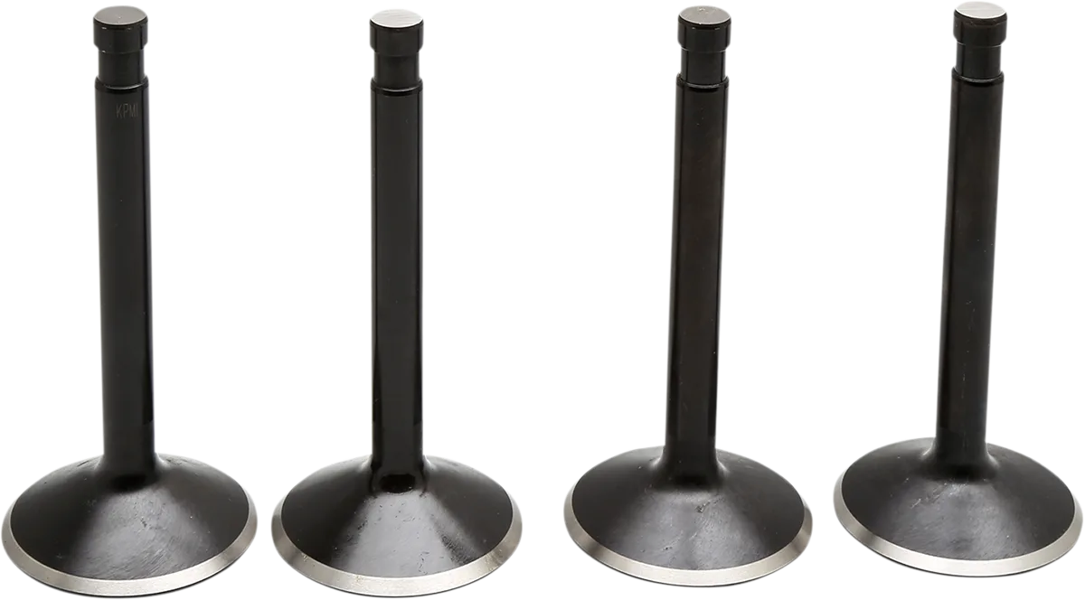 Black Diamond™ Engine Valve Kit