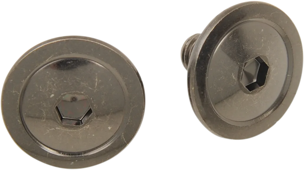 F.I. Helmet Visor Screws