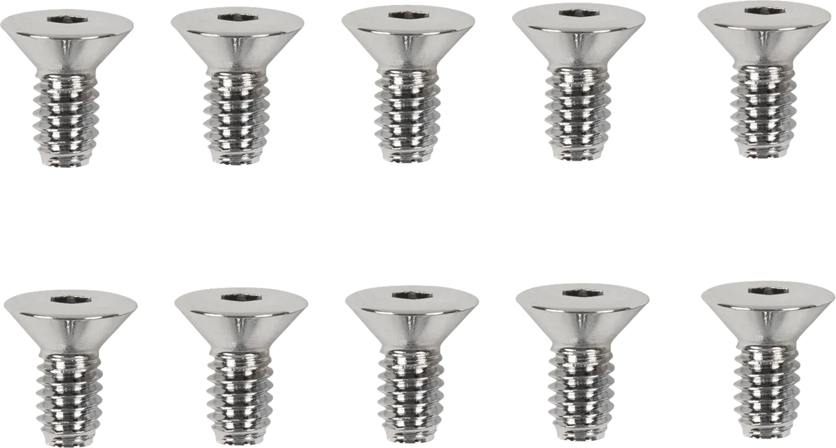 Derby/Inspection Covers Only Screw Set