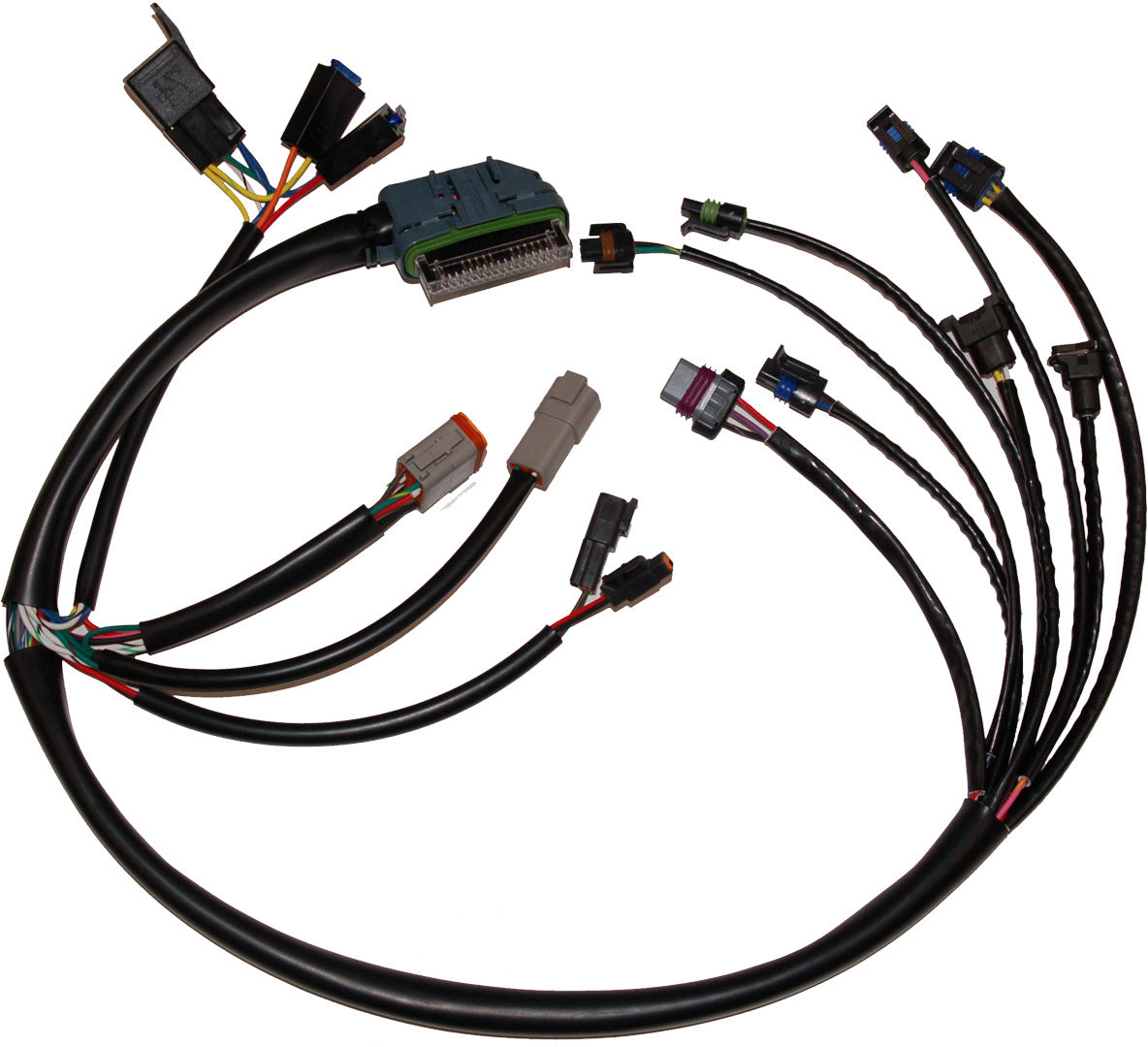 Ignition/EFI Wiring Harnesses