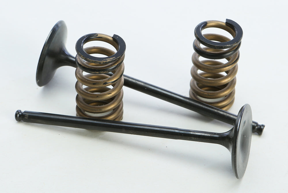 Steel Intake Spring Kit